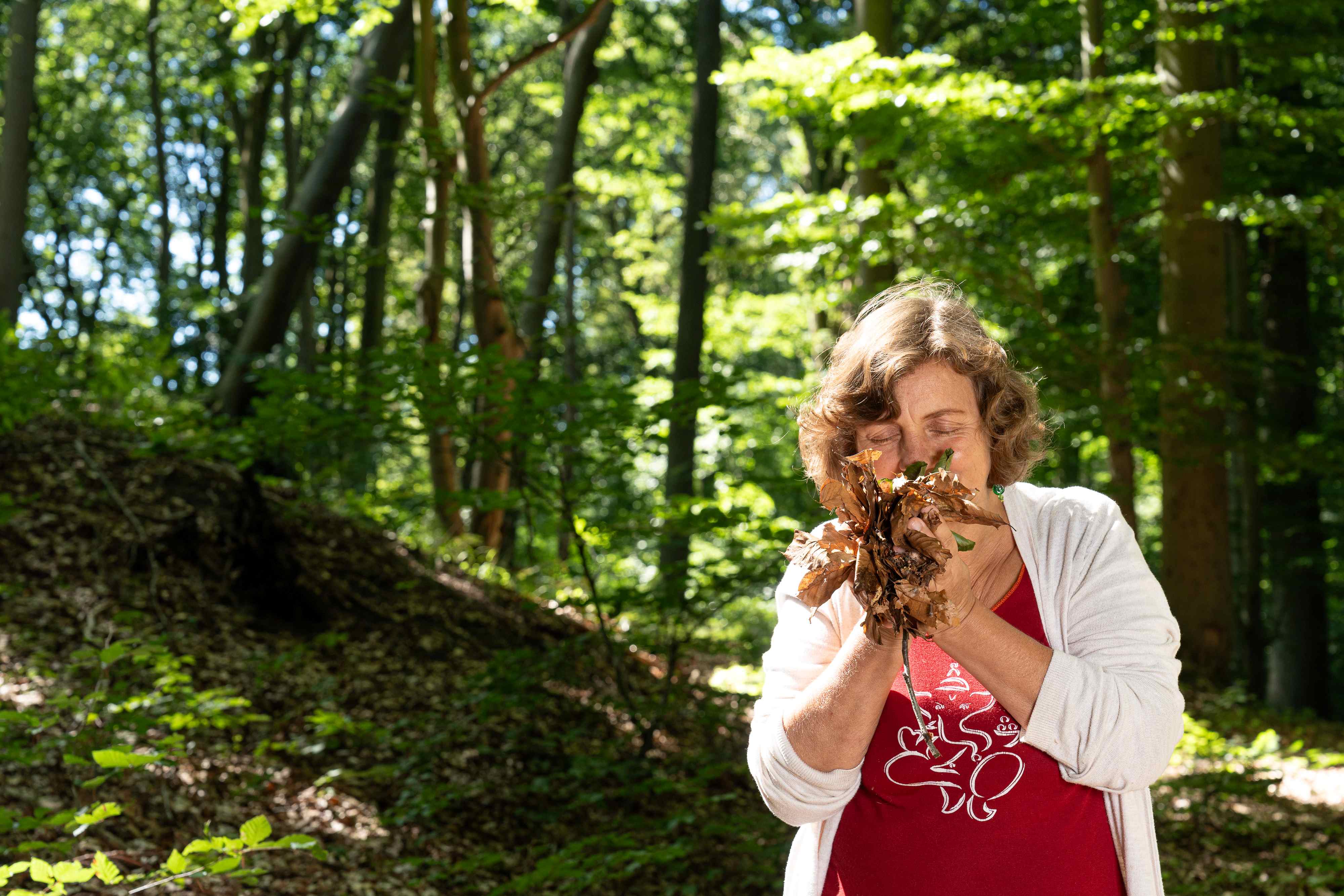 Entspannungs- & Traumreise 30 Min